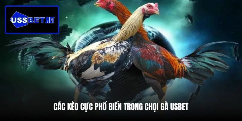 cac-keo-cuc-pho-bien-trong-choi-ga-usbet