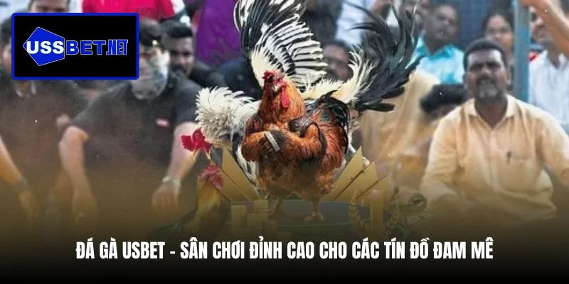 da-ga-usbet-san-choi-dinh-cao-cho-cac-tin-do-dam-me