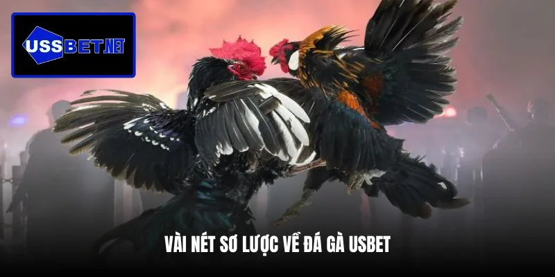 vai-net-so-luoc-ve-da-ga-usbet